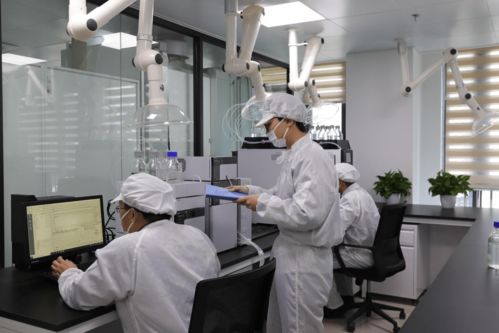 鴻湖膜業自主研發自動化裁切設備，以技術創新驅動調光膜應用拓展